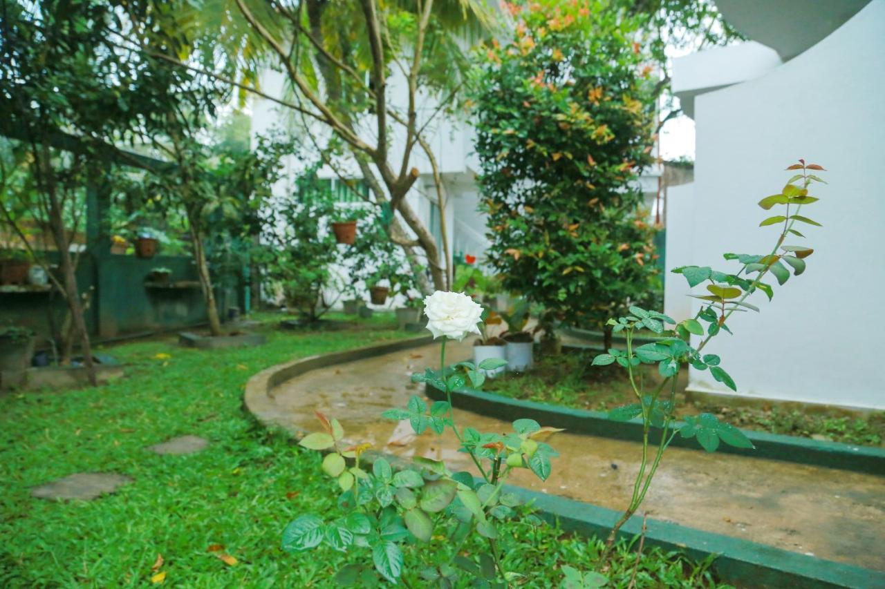 Suwa Arana Resort Mirissa Εξωτερικό φωτογραφία